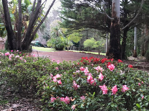 Forest Lodge Resort - Tourism Caloundra 12