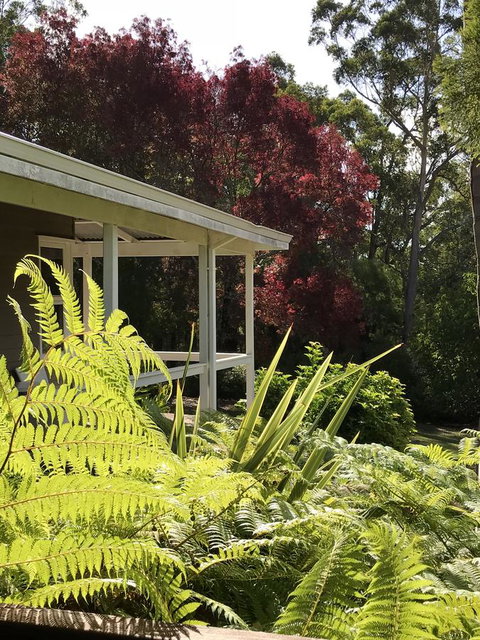 Forest Lodge Resort - Tourism Caloundra 14