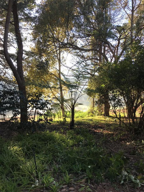 Forest Lodge Resort - Tourism Caloundra 33