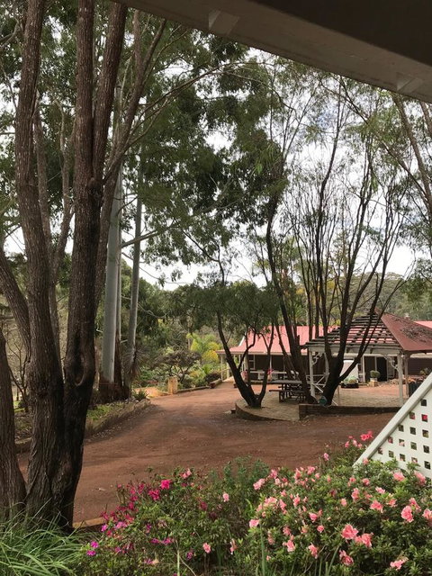 Forest Lodge Resort - Tourism Caloundra 9