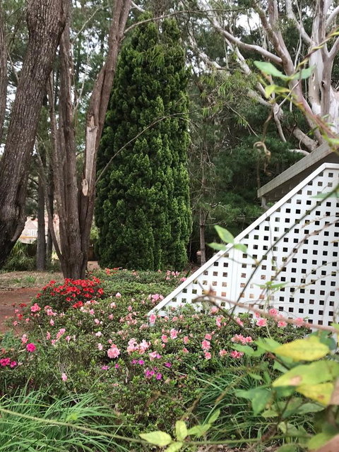 Forest Lodge Resort - Tourism Caloundra 7