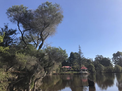 Forest Lodge Resort - Tourism Caloundra 36