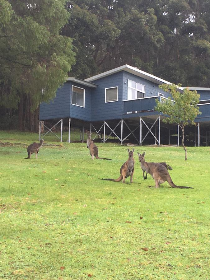 Denmark WA Tourism Caloundra