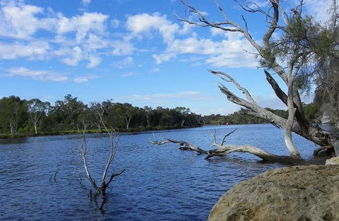 Ascot Comfort - Tourism Caloundra 23