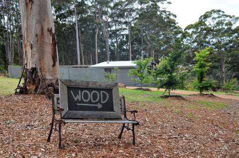 The Floating Forest - Tourism Caloundra 11