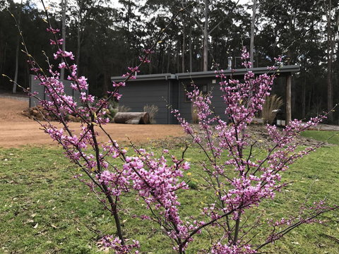 The Floating Forest - Tourism Caloundra 15