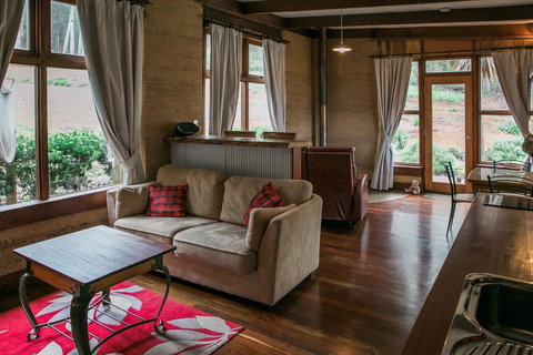 The Floating Forest - Tourism Caloundra 26