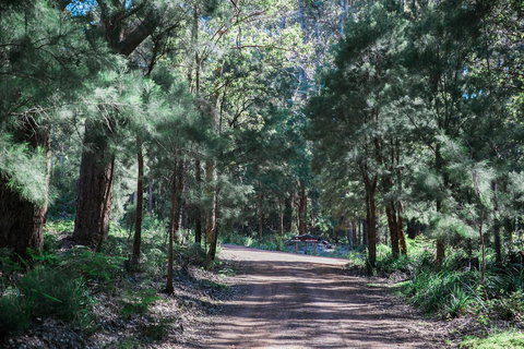 The Floating Forest - Tourism Caloundra 30
