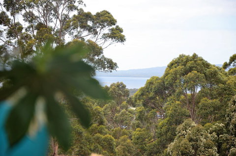 The Floating Forest - Tourism Caloundra 8