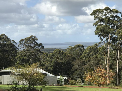 The Floating Forest - Tourism Caloundra 2