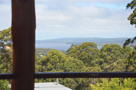 The Floating Forest - Tourism Caloundra 21