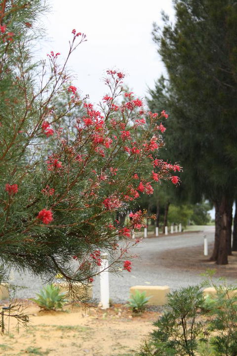 The Heights Bed & Breakfast - Tourism Caloundra 0