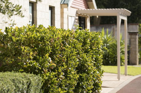 Amalfi Resort - Tourism Caloundra 9