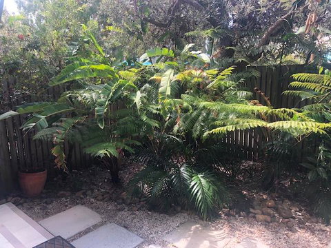 East On Byron - Tourism Caloundra 40