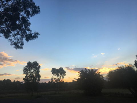 Junee Motor Inn - Tourism Caloundra 26