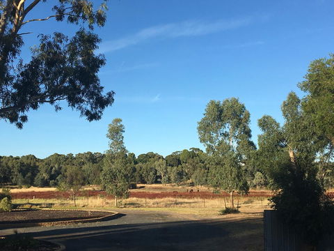 Junee Motor Inn - Tourism Caloundra 24