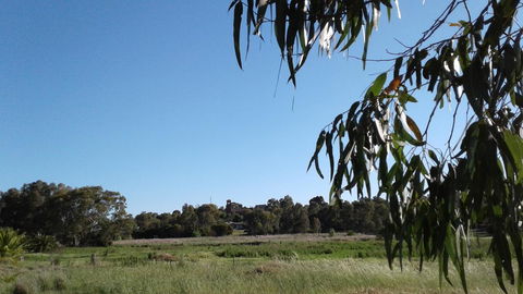 Junee Motor Inn - Tourism Caloundra 8
