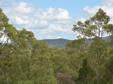 Villa Executive 2br Cypress DS Located Within Cypress Lakes Resort - Tourism Caloundra 8