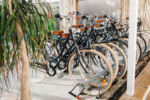 The Lord Byron - Tourism Caloundra 29