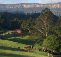 Amaroo Valley Springs - Tourism Caloundra