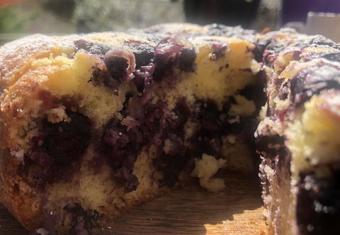 Jenkins Street Guesthouse - Tourism Caloundra 3