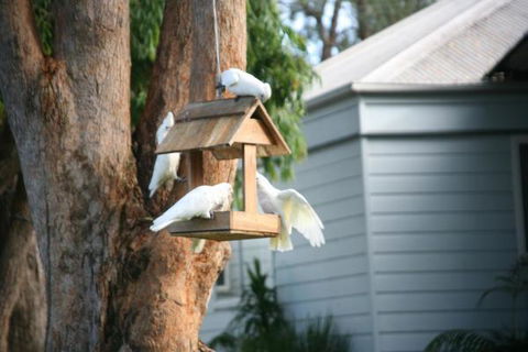 Huskisson Holiday Motel Cabins - Tourism Caloundra 29