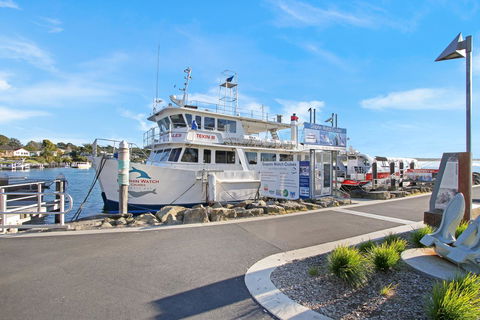 Huskisson Holiday Motel Cabins - Tourism Caloundra 6