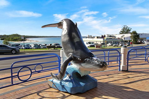 Huskisson Holiday Motel Cabins - Tourism Caloundra 20