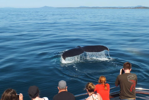 Pacific Marina Apartments - Tourism Caloundra 34