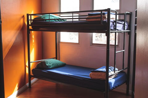 Mad Monkey Kings Cross - Tourism Caloundra 29