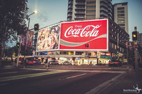 Mad Monkey Kings Cross - Tourism Caloundra 4