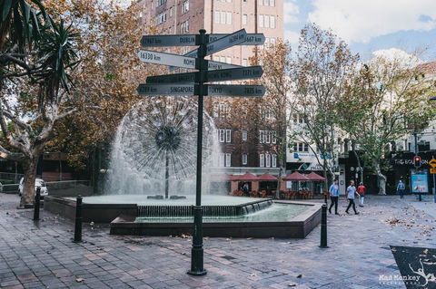 Mad Monkey Kings Cross - Tourism Caloundra 2