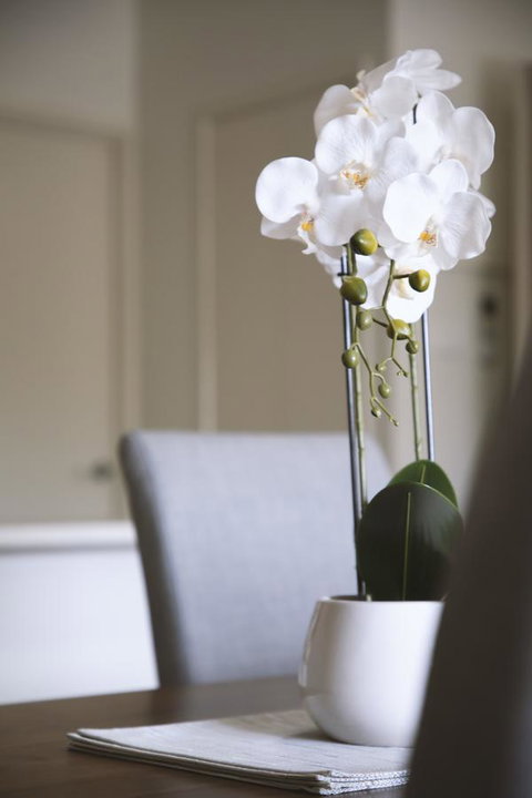 Quest Wagga Wagga - Tourism Caloundra 18