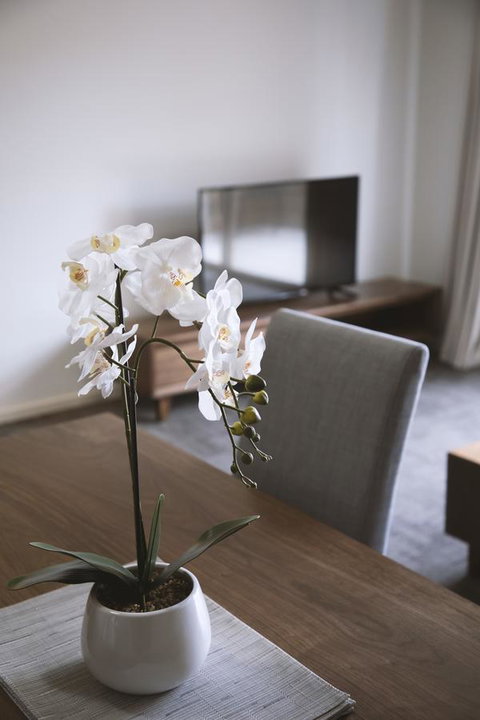 Quest Wagga Wagga - Tourism Caloundra 11