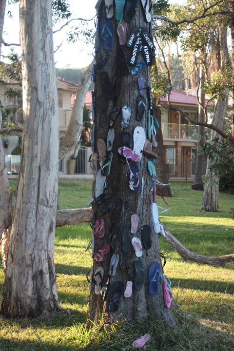 Ambience - Tourism Caloundra 33