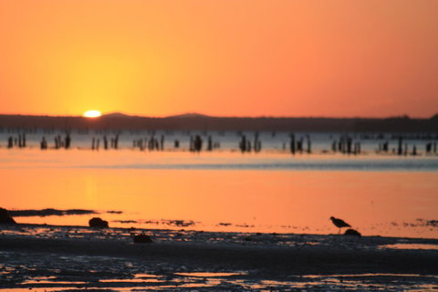 Ambience - Tourism Caloundra 35