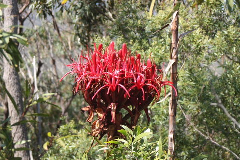 Ambience - Tourism Caloundra 30