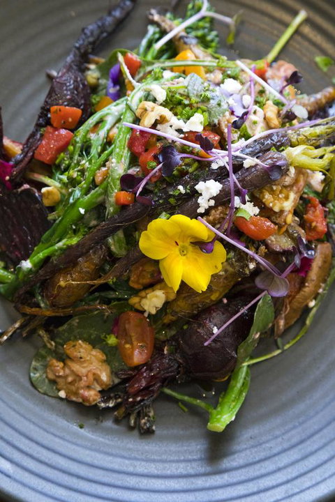 Sage Hotel Wollongong - Tourism Caloundra 21