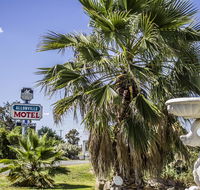 Allonville Gardens Motel - Tourism Caloundra