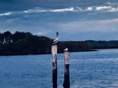 Boathouse Resort (Water Front) - Tourism Caloundra 15