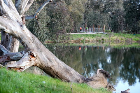 Mercure Albury - Tourism Caloundra 15