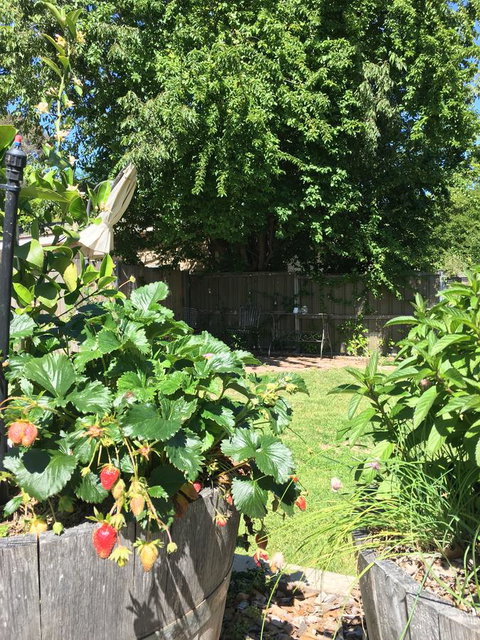 99 Hill Street Apartments - Tourism Caloundra 24