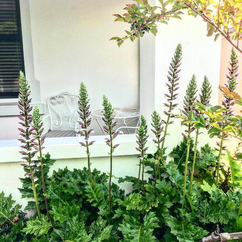 99 Hill Street Apartments - Tourism Caloundra 20