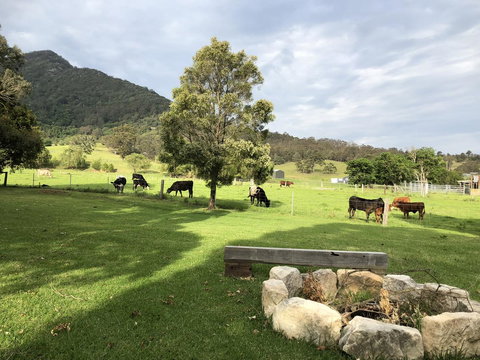 Arcadia - The Barn Cottage & Rosehill Cottage - Tourism Caloundra 29