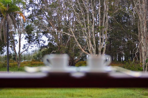 Estoy Cabarita - Tourism Caloundra 6