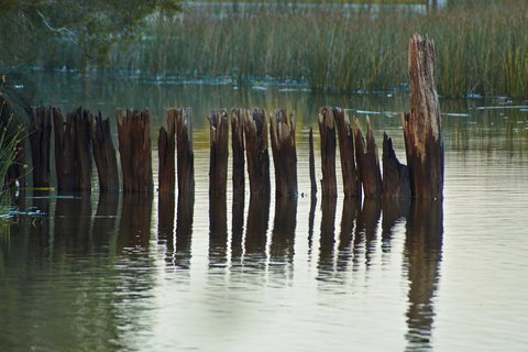 Estoy Cabarita - Tourism Caloundra 7