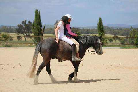 Belisi Farmstay Cottage - Tourism Caloundra 28