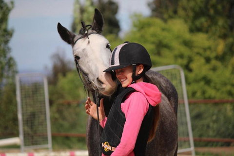 Belisi Farmstay Cottage - Tourism Caloundra 30