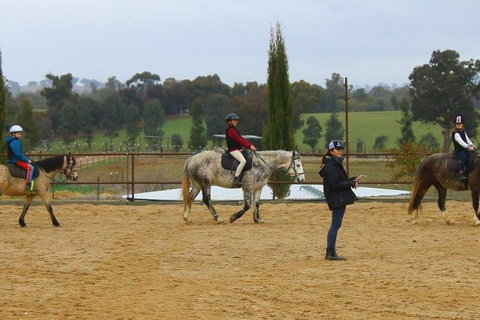 Belisi Farmstay Cottage - Tourism Caloundra 34