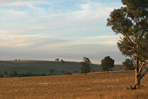 Belisi Farmstay Cottage - Tourism Caloundra 33